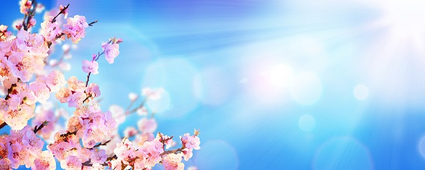 戰疫情，北京韋林公司全體員工齊心協力共克時艱！